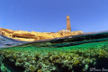   Brother Island  